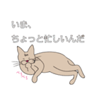 【すふゃや】猫の店長と店員がいるお店（個別スタンプ：32）