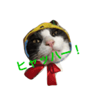 うーさんちの猫達。（個別スタンプ：7）