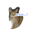 raza'everyday（個別スタンプ：5）