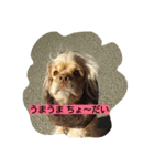 アメコカって（個別スタンプ：2）