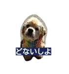 アメコカって（個別スタンプ：7）