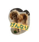 アメコカって（個別スタンプ：8）