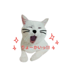 ナナだよ part2（個別スタンプ：9）