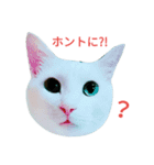 ナナだよ part2（個別スタンプ：11）
