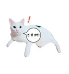 ナナだよ part2（個別スタンプ：18）