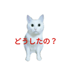 ナナだよ part2（個別スタンプ：23）