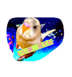 Skybird（個別スタンプ：1）