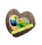 Skybird（個別スタンプ：2）