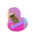 Skybird（個別スタンプ：5）
