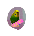 Skybird（個別スタンプ：6）