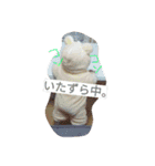 かわいぃらな 2（個別スタンプ：16）