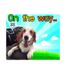 Charlie the Beagle（個別スタンプ：2）