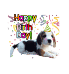 Charlie the Beagle（個別スタンプ：8）
