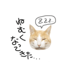 お茶々スタンプ（個別スタンプ：7）