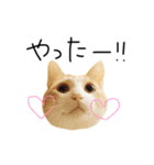 お茶々スタンプ（個別スタンプ：9）