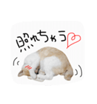 お茶々スタンプ（個別スタンプ：10）