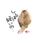 お茶々スタンプ（個別スタンプ：11）