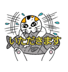 ねこマルさん（個別スタンプ：5）