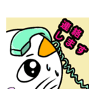 ねこマルさん（個別スタンプ：8）