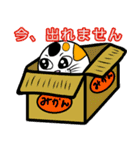 ねこマルさん（個別スタンプ：16）