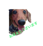 まんなのPETS！（個別スタンプ：2）