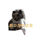 まんなのPETS！（個別スタンプ：3）