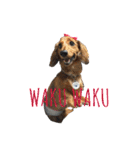まんなのPETS！（個別スタンプ：7）