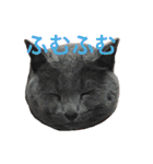 まんなのPETS！（個別スタンプ：11）