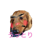 まんなのPETS！（個別スタンプ：13）
