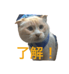まんなのPETS！（個別スタンプ：14）