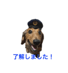 まんなのPETS！（個別スタンプ：15）