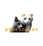 まんなのPETS！（個別スタンプ：21）