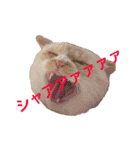 まんなのPETS！（個別スタンプ：26）
