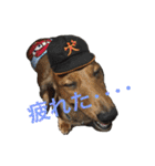 まんなのPETS！（個別スタンプ：38）