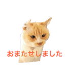 まんなのPETS！（個別スタンプ：39）