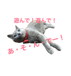 まんなのPETS！（個別スタンプ：40）