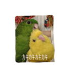 サザナミ部屋の仲間たち（個別スタンプ：2）