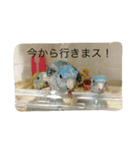 サザナミ部屋の仲間たち（個別スタンプ：5）