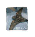 サザナミ部屋の仲間たち（個別スタンプ：13）