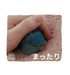 サザナミ部屋の仲間たち（個別スタンプ：18）