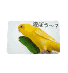 サザナミ部屋の仲間たち（個別スタンプ：23）