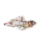 ダックスフンドのうめとたまに猫のひまわり（個別スタンプ：7）
