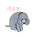 しし丸 (感謝＆謝罪編)（個別スタンプ：9）