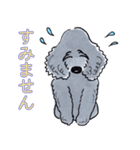 しし丸 (感謝＆謝罪編)（個別スタンプ：12）