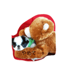 チョロチョロ（個別スタンプ：6）