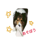 天使のアンジュ（個別スタンプ：2）