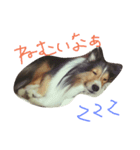 天使のアンジュ（個別スタンプ：6）