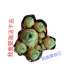 kittyword（個別スタンプ：8）