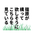 篠原さん名前ナレーション（個別スタンプ：3）