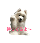 サモエドのじゅらちゃん（個別スタンプ：6）